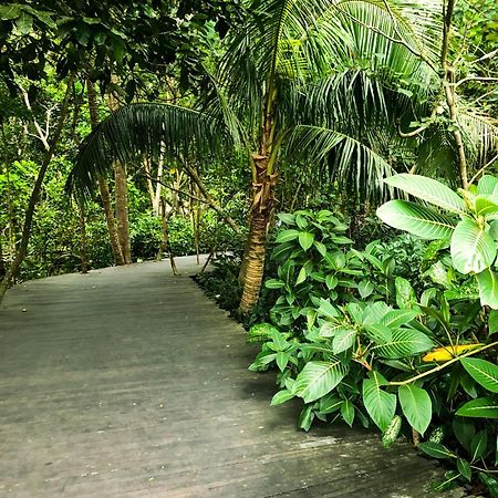 Rayshiva Homestay Ubud Eksteriør bilde