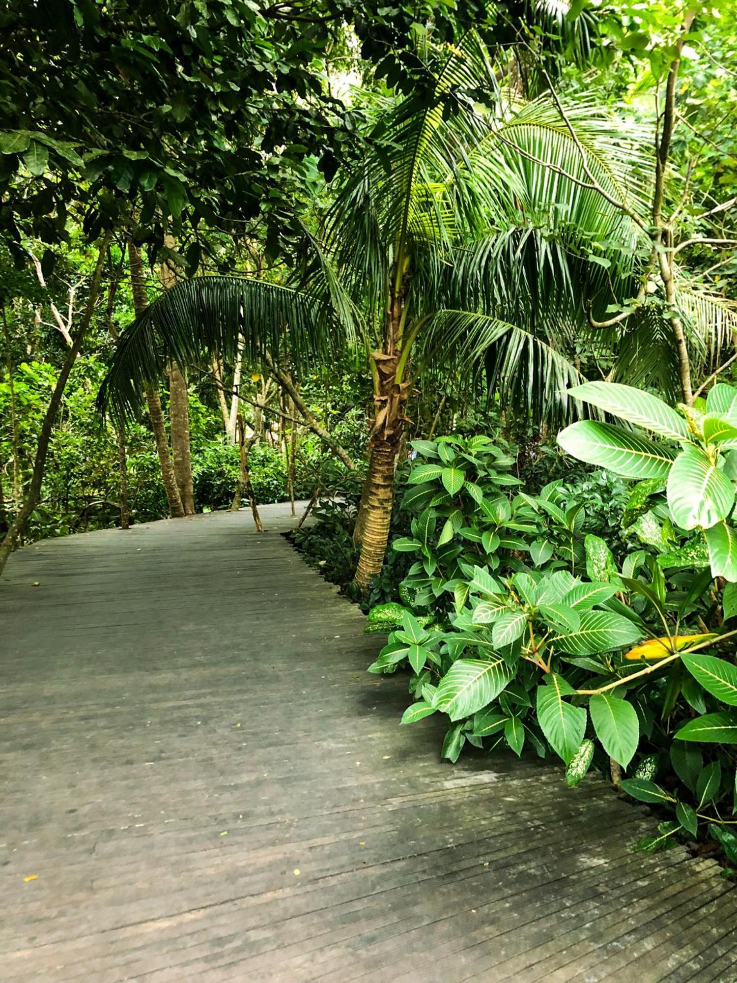 Rayshiva Homestay Ubud Eksteriør bilde